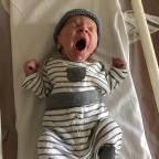 What’s Your Pedigree?