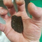 Truffle and pepper berry salt.