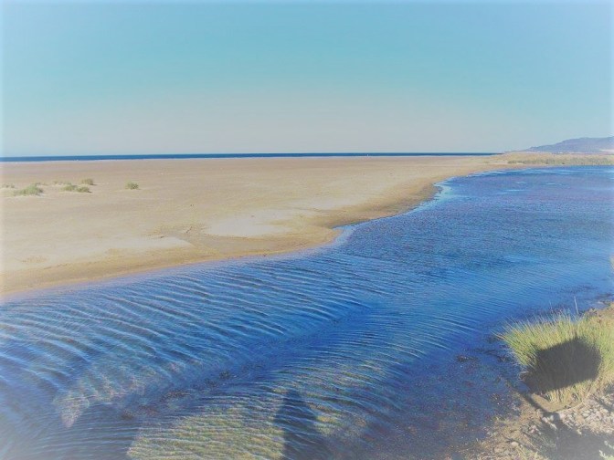 received_10210596512052497